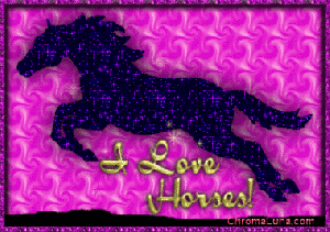 i_love_horses_jumping.gif